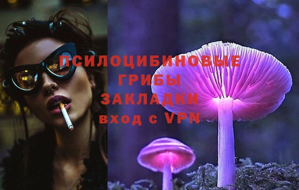 spice Кулебаки