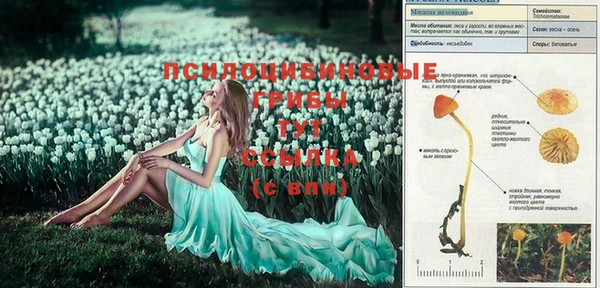 COCAINE Балабаново
